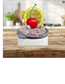 Tumbler Lid with Acrylic Ice & Fruit | 20oz Accessory